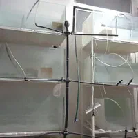 آکواریوم با پایه برای پرورش