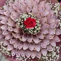 شاباش  نقدی عروس دوماد