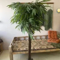 درختچه بنجامین مصنوعی وارداتی