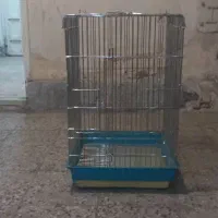 قفس کاسکو در حدنو جنس خوب|لوازم جانبی حیوانات|تهران, افسریه جنوبی|دیوار