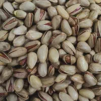 تهیه پسته از باغدار به بازار