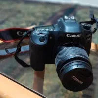 دوربین کنون  EOS 80D
