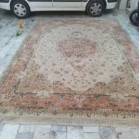 فرش 12 متری 500 شانه|فرش|زاهدان, |دیوار