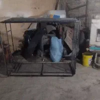 بار بنده وانت