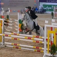 اسب دوسر خارجی پرشی