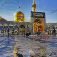 مجری مستقیم تور مشهد