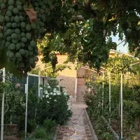 خونه-باغ