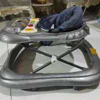 روروئک درحدنو