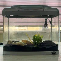 آکواریوم شیشه خم شرکتی HAILEA همراه تمامی متعلقات|ماهی|ورامین, شهرک فجر|دیوار