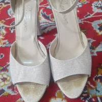 کفش مجلسی|کیف، کفش، کمربند|مراغه, |دیوار