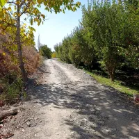 باغ گلبهار آبقد تهاترومعاوضه|فروش زمین و ملک کلنگی|گلمکان, |دیوار