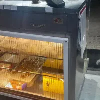 زیرترازوقنادی‌ابعادیکوبیست‌سالم|فروشگاه و مغازه|هشتگرد, هیو|دیوار