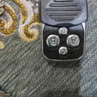 ریموت پیدا شده