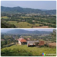 3000-متر-خانه-و-محوطه-دل-جنگل