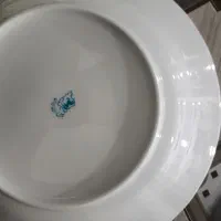 چینی گل سرخی لب طلایی زرین|ظروف سرو و پذیرایی|باغ بهادران, |دیوار