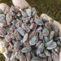 کشمش،مویز آفتابی بوانات شهدار گوشتی شیرین آمیرزا|عمدهفروشی|یزد, |دیوار