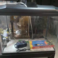 آکواریوم ماهی