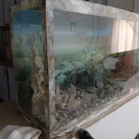 اکواریوم تمیزمرتب سالم بفروشدمیرسد|ماهی|مشهد, امیر المومنین|دیوار