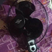 پنکه|پنکه و تصفیه‌کنندهٔ هوا|بندر کنگان, |دیوار