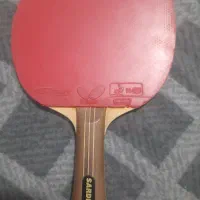 چوب ساردیوس به همراه رویه