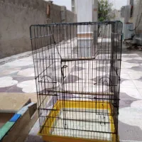 قفس پرنده