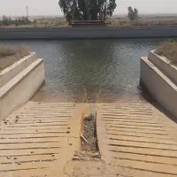 باغ پسته 34هزار متر کاشان|فروش دفتر صنعتی، کشاورزی، تجاری|کاشان, مشکات|دیوار