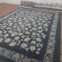 فرش نو ۱۰ روزه گرفتم