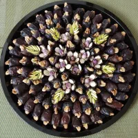خرما گردویی|خوردنی و آشامیدنی|شاهین‌شهر, فردوسی|دیوار