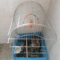 قفس بزرگ پرنده طوطی