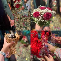 عکاسی و فیلمبرداری|خدمات پذیرایی، مراسم|بندرعباس, |دیوار