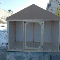 جفتگاه|لوازم جانبی حیوانات|شیروان (خراسان), |دیوار