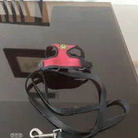 کولی برای سگ کوچک ودو تا قلاده|لوازم جانبی حیوانات|پردیس, فاز ۱۱|دیوار