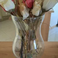 گلدان همراه