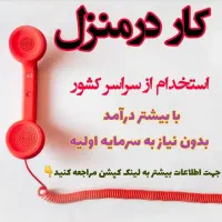 بانو جان بدون درد سر داخل منزل درآمد داشته باشید|استخدام بازاریابی و فروش|تهران, یوسف‌آباد|دیوار