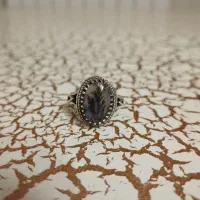 شجر تک درخت