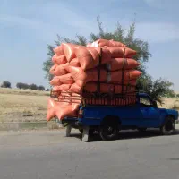 کاه شلیفی ۳۳۰تومن