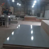 برشکار با بیمه