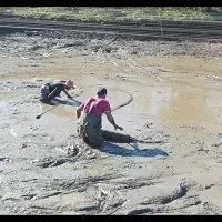 فروش انواع ماهی قرمز شب عید و تنگ