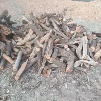 چوب بادام شومینه ای|خدمات باغبانی و درختکاری|تفرش, |دیوار