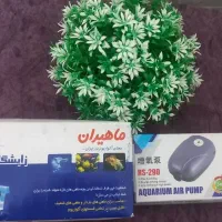 اکواریوم و تجهیزات