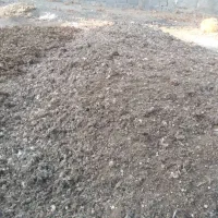 کود مرغی ،زل