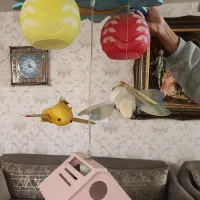 لوستر اتاق کودک|لوستر و چراغ آویز|ارومیه, |دیوار