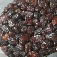 فروش خرمای خنیزی و مرداسنگ|خوردنی و آشامیدنی|رودان, |دیوار