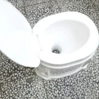 توالت فرنگی پلاستیکی