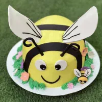 دوره اموزشی کیک های  تولد خامه ای مدرن