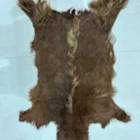 پادری|پادری|مشهد, سرافرازان|دیوار