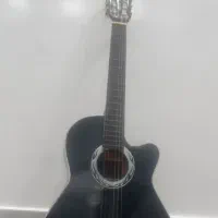 گیتار|گیتار، بیس، امپلیفایر|باغستان, |دیوار