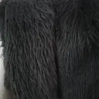 پالتو|لباس|سیاهکل, |دیوار