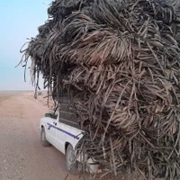 خریدارضایعات نوارتیپ