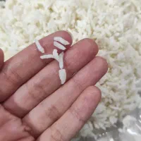 برنج عنبربو نیم دانه و تمام دانه